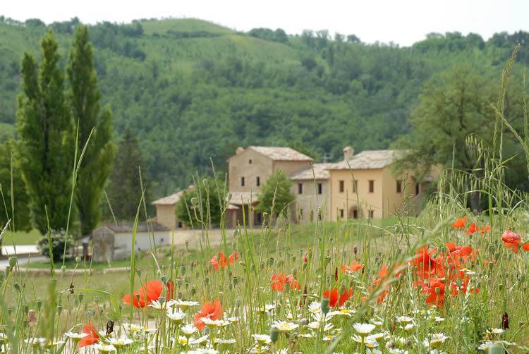 Agriturismo Verziere Villa Fermignano Eksteriør bilde